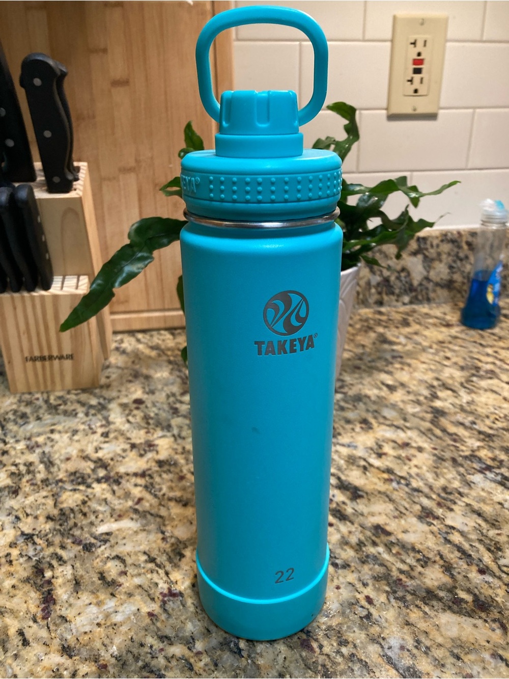 Takeya 22 oz. Insulated Stainless Steel Spout Bottle - New